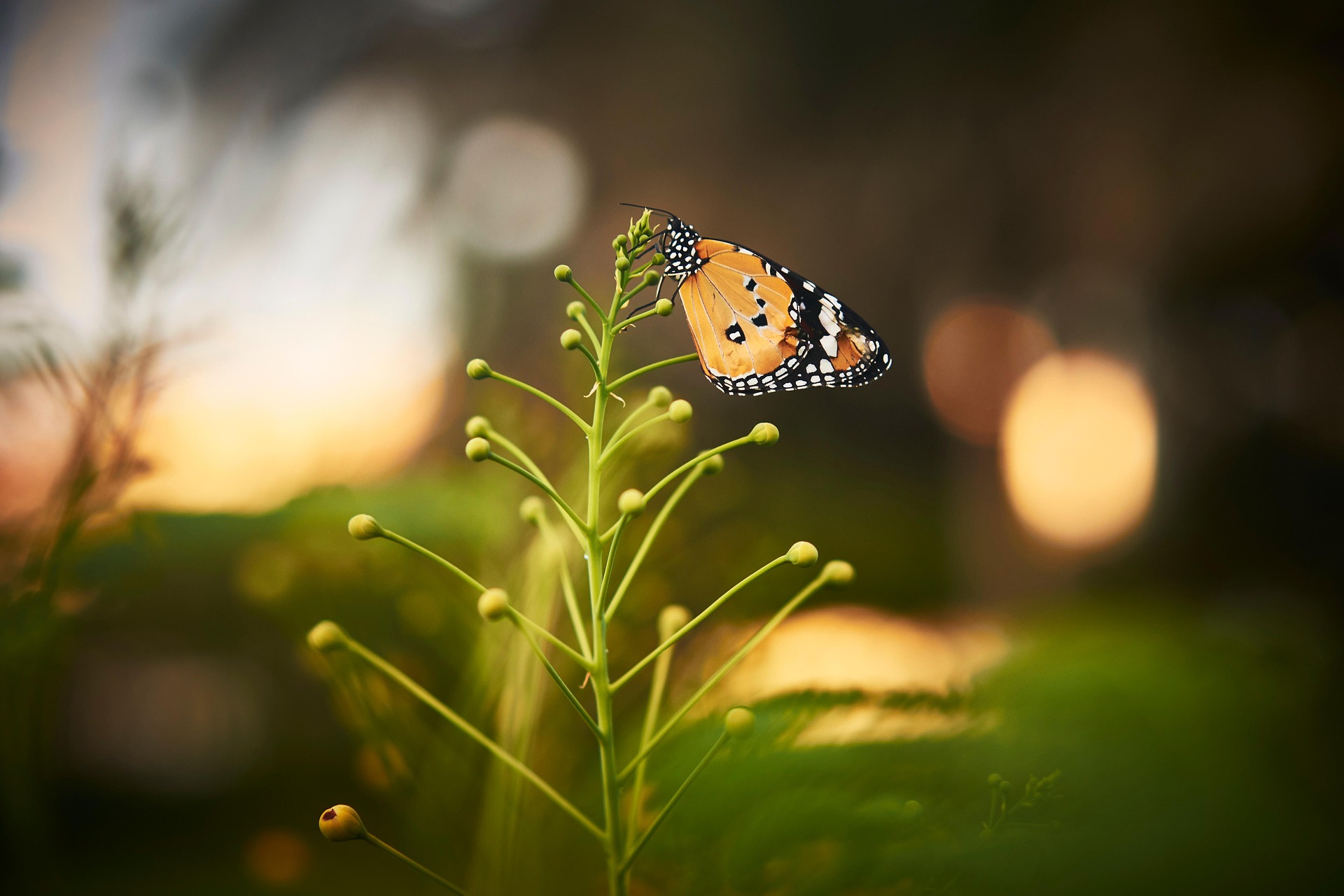 Sustainability Background